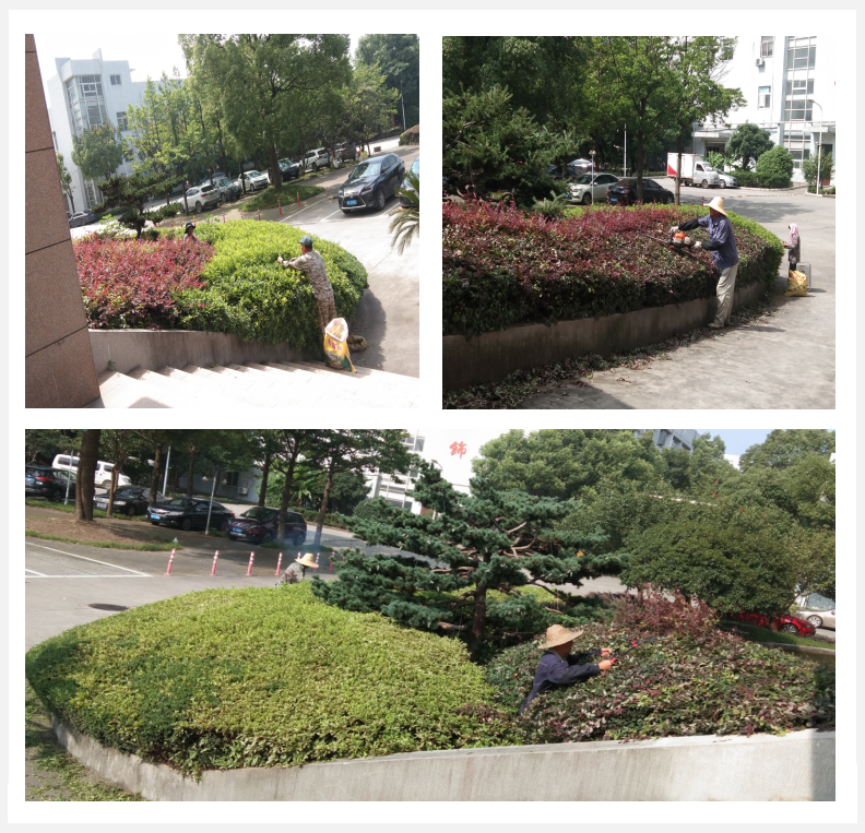 美化綠化，我們?cè)谛袆?dòng)      